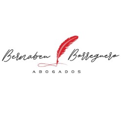 BERNABEU BORREGUERO ABOGADOS